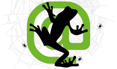 Curso Screaming Frog